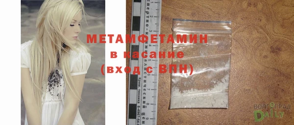 крисы Бородино