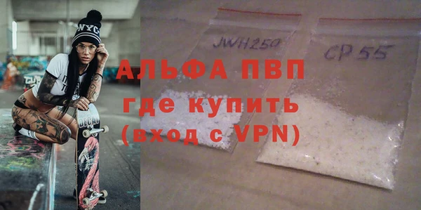 крисы Бородино