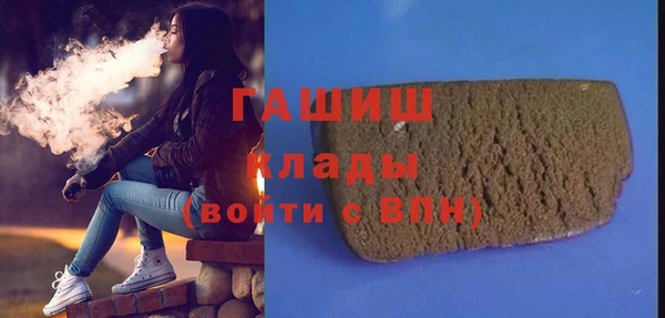 крисы Бородино