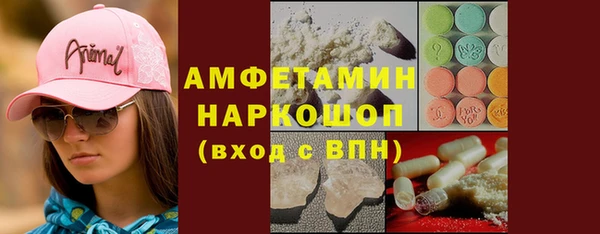 крисы Бородино