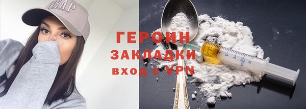 крисы Бородино