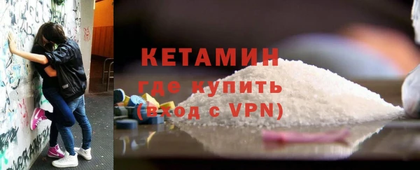 крисы Бородино