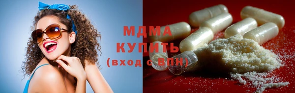 крисы Бородино