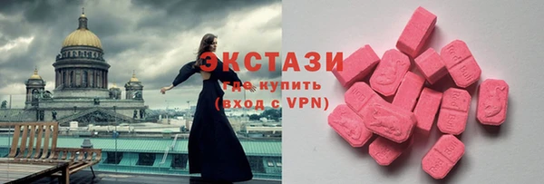 крисы Бородино