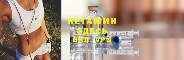крисы Бородино