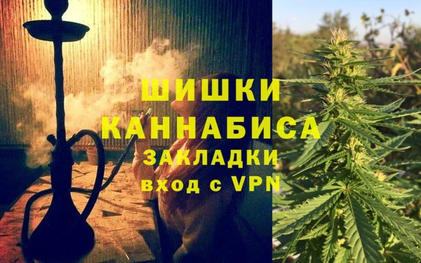 крисы Бородино