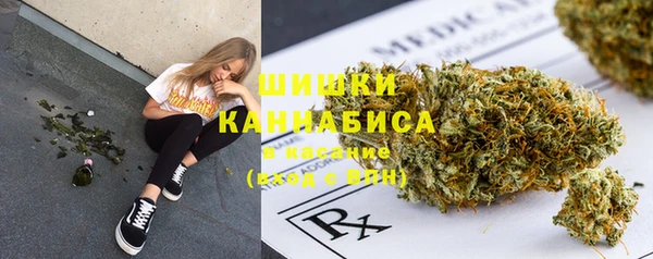 крисы Бородино