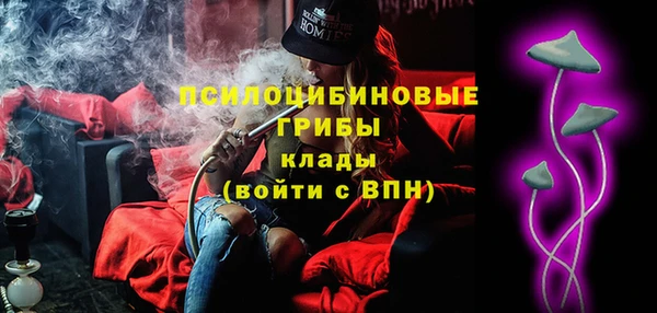 крисы Бородино