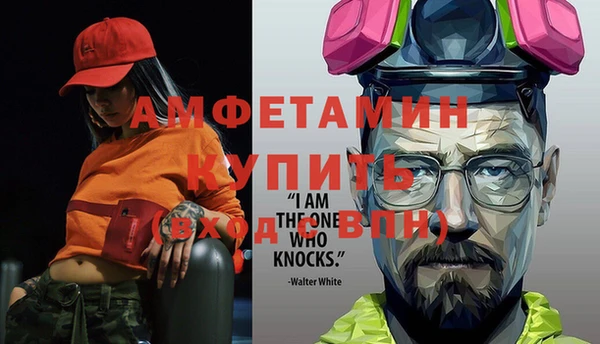 крисы Бородино