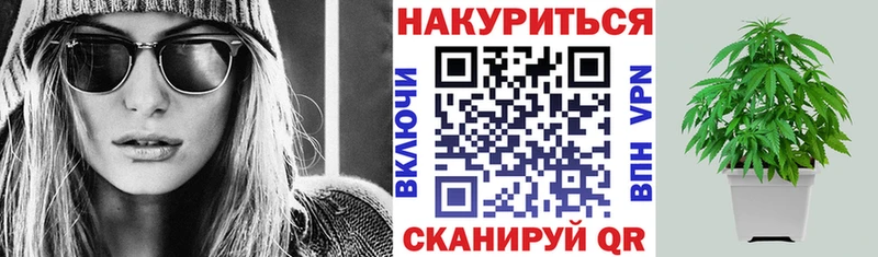 Бошки марихуана сатива  Касимов 